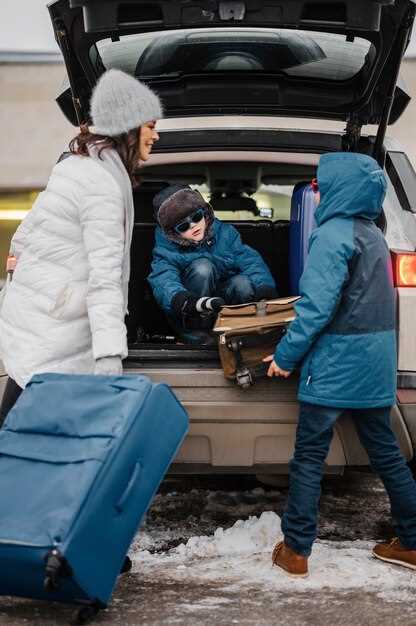 Best Cargo Organizers for Toyota RAV4 Models