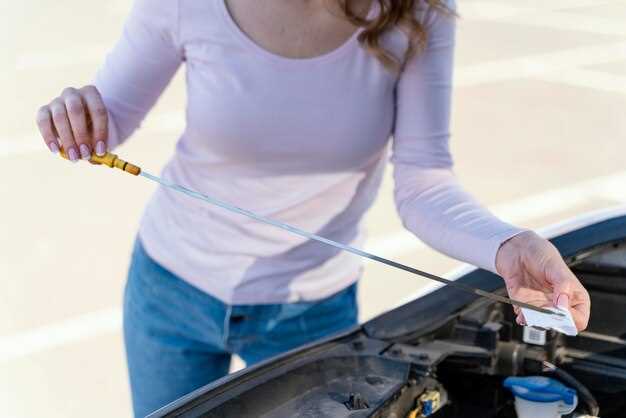 Checking and Maintaining the Hybrid Battery Health