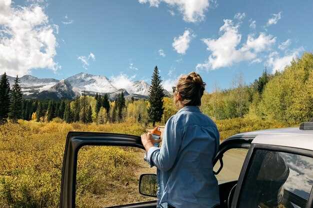 Top reasons to choose Toyota Highlander for road trips
