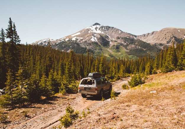 Off-Road Capability: How the 4Runner and Wrangler Stack Up