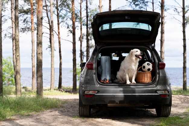 Toyota RAV4 vs Subaru Forester – full comparison
